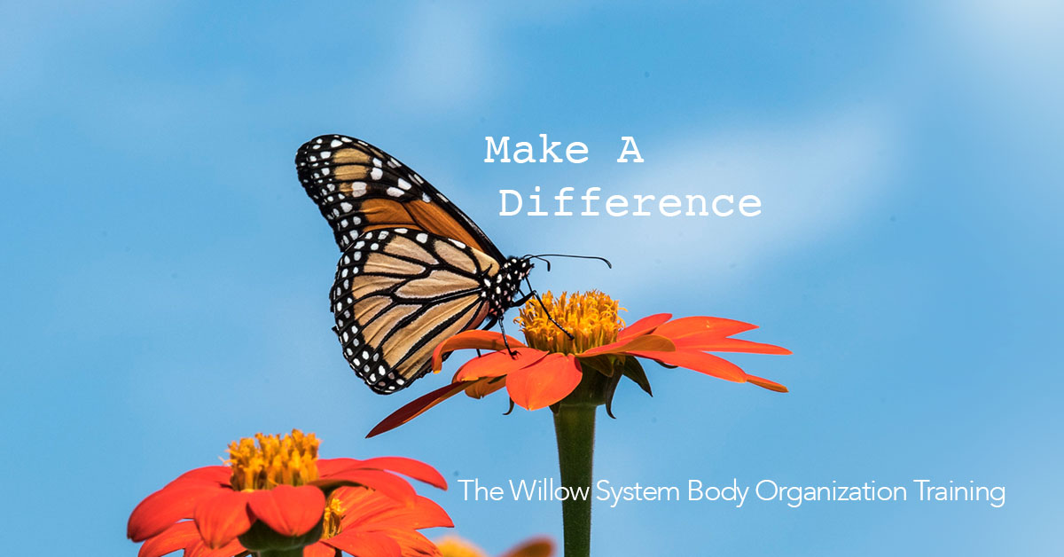 Train for a New Career with Willow's Body Organization  and More