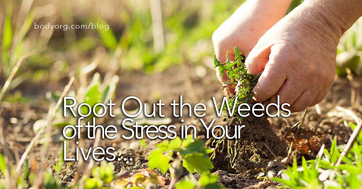 Weed Out The Stress That Messes With Your Family's Health and More
