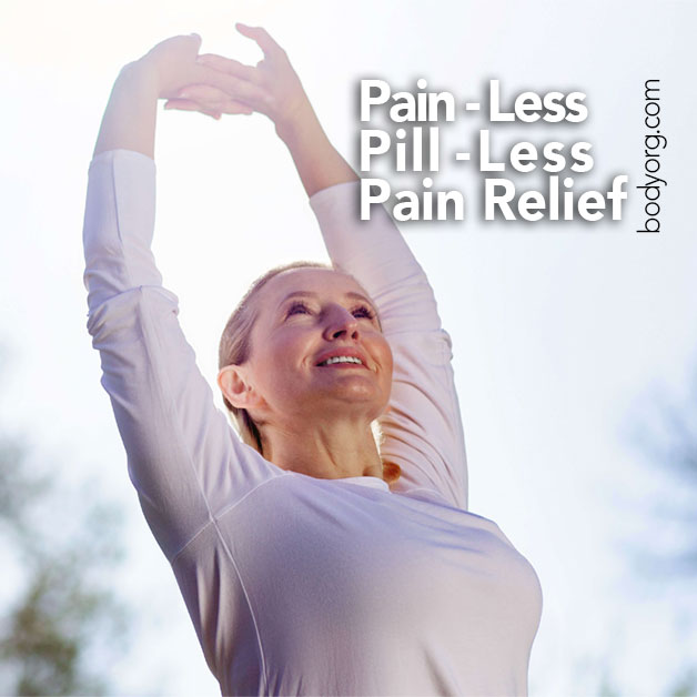 Read: Pill Free Pain Relief: The Willow's Body Organization