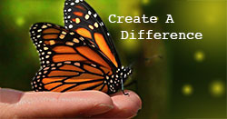 Create A Difference! The Healing's In Your Hands