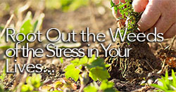 Weed Out The Stress That Messes With Your Family's Health