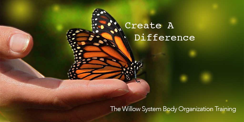 AYM: Create A Difference! The Healing's In Your Hands