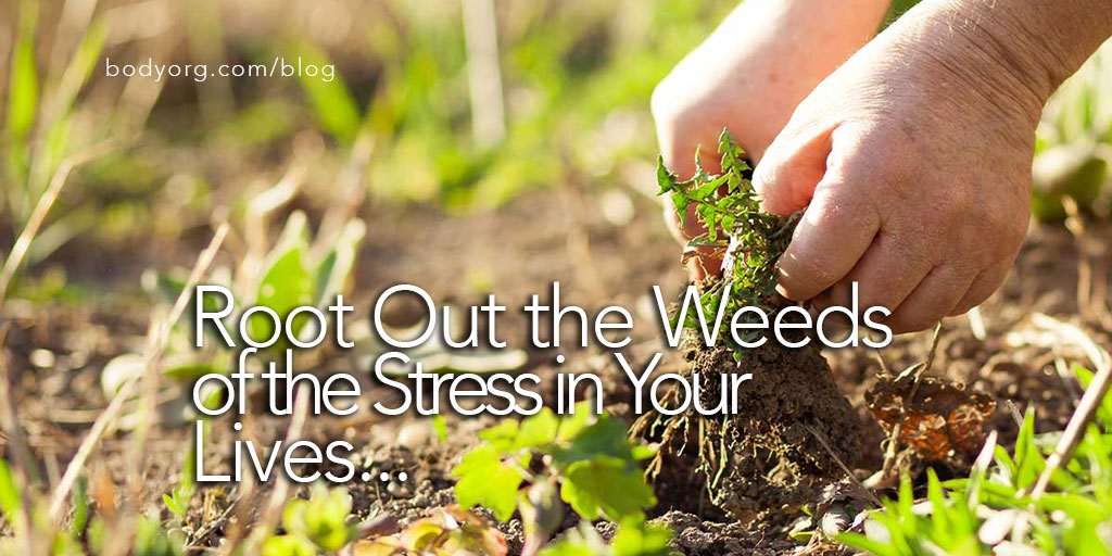 AYM: Weed Out The Stress That Messes With Your Family's Health