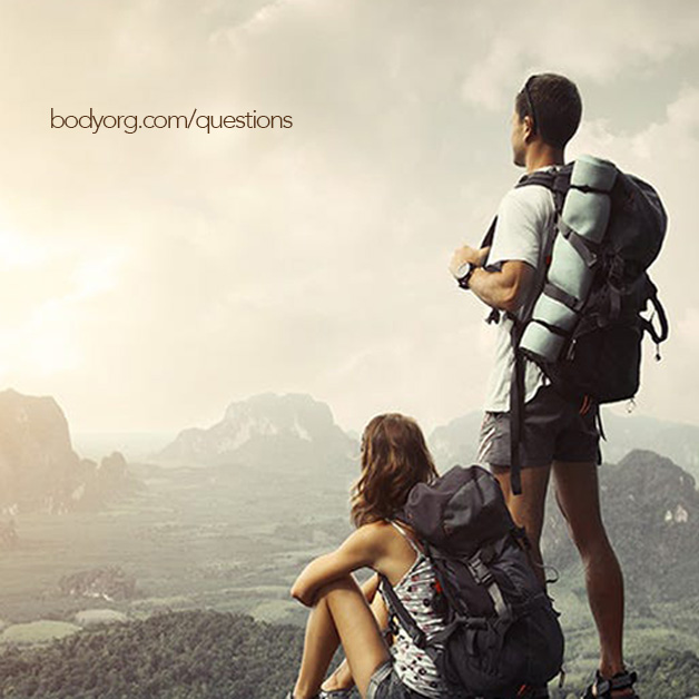 Willow Body Organization questions